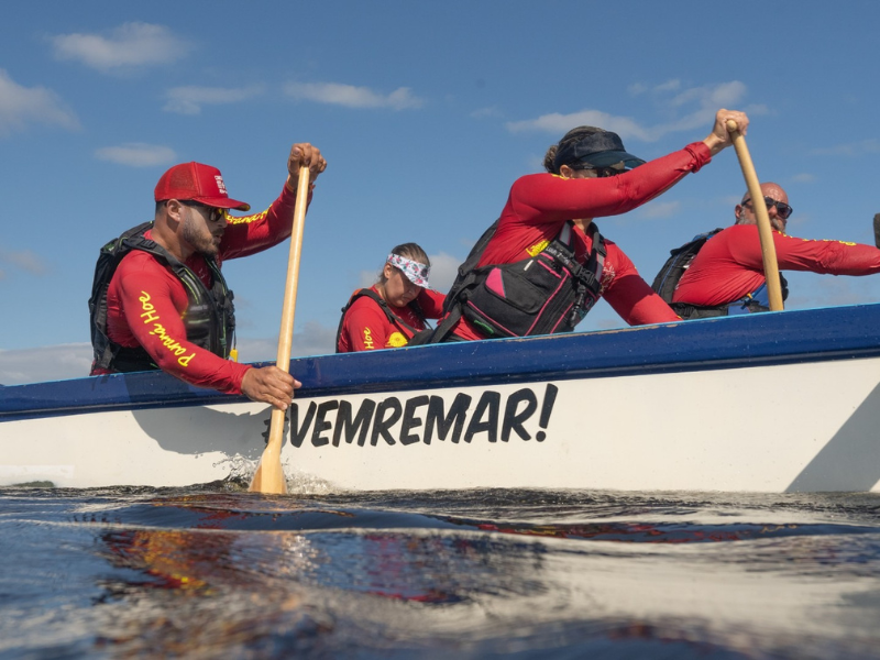 Conectando pessoas à natureza
