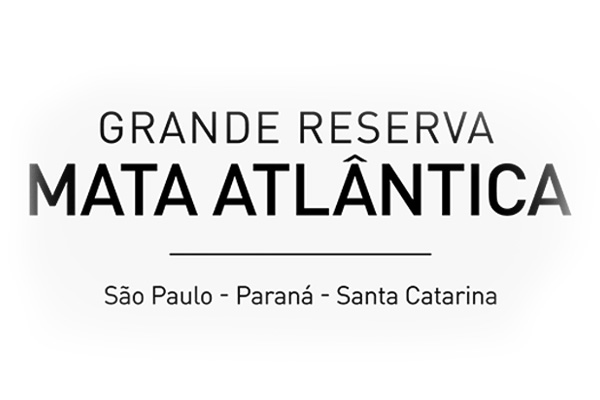 Mata Atlântica