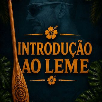 INTRODUÇÃO AO LEME