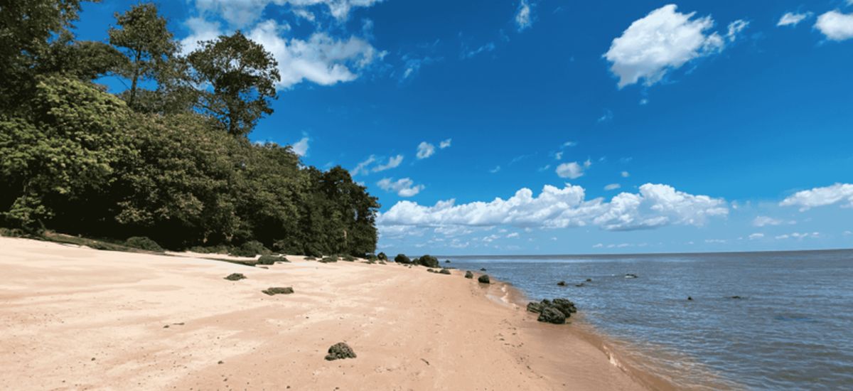 Ilha de Cotijuba