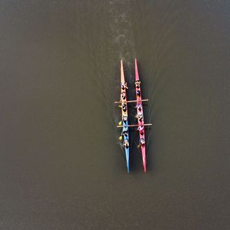 Lago das Vitórias Regias