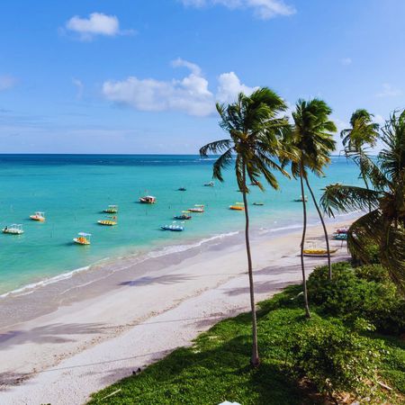 MACEIÓ, AL