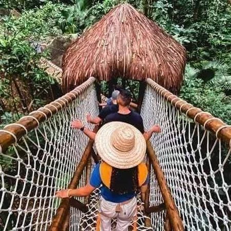 Excursão Terra dos Dinos,  Tour em Miguel Pereira - RJ