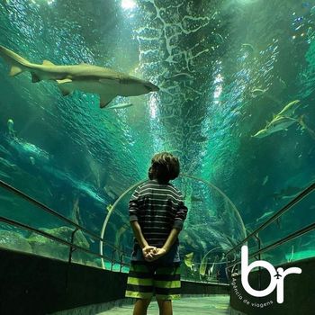 Excursão Aqua Rio & Bio Parque