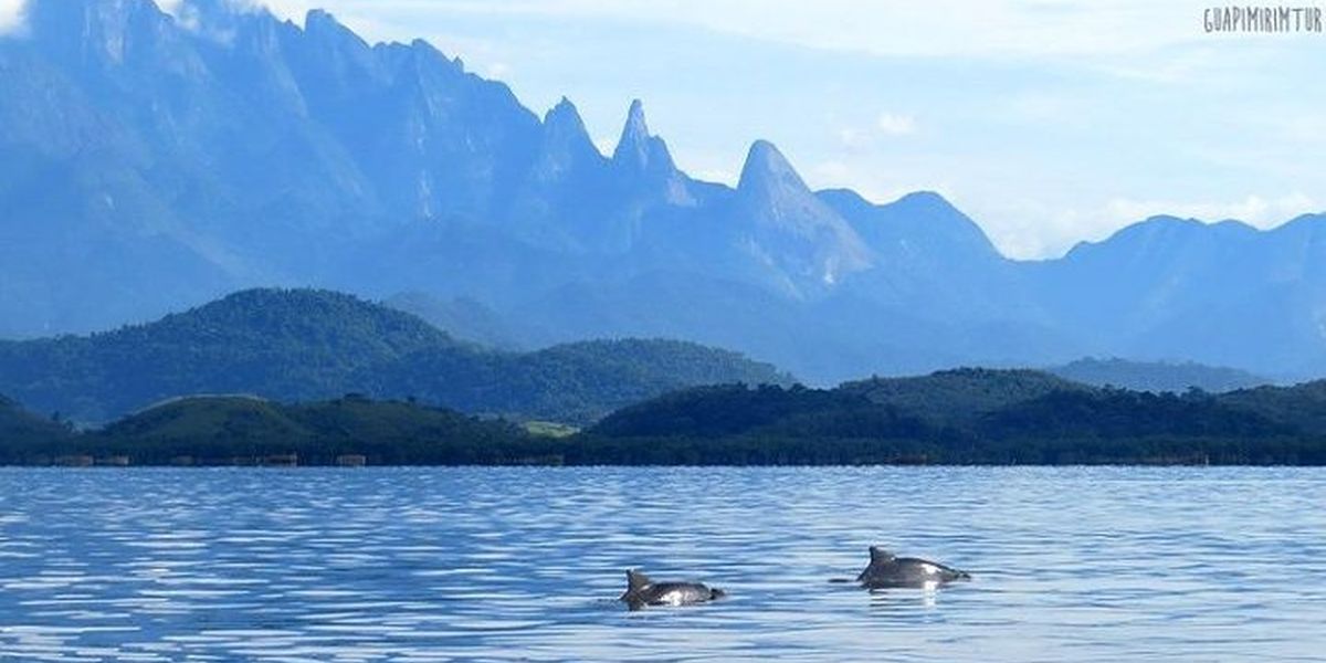 Gosta de experiencias em meio a natureza?