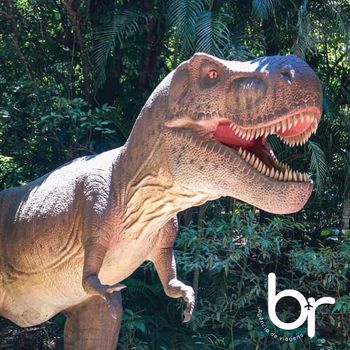 Excursão Terra dos Dinos