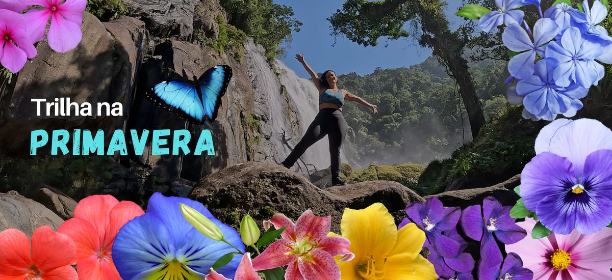 Primavera