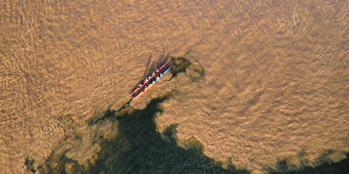 Remando no Paraíso
