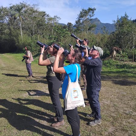 Observação de Aves em Bertioga