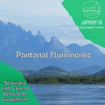 Pantanal Fluminense