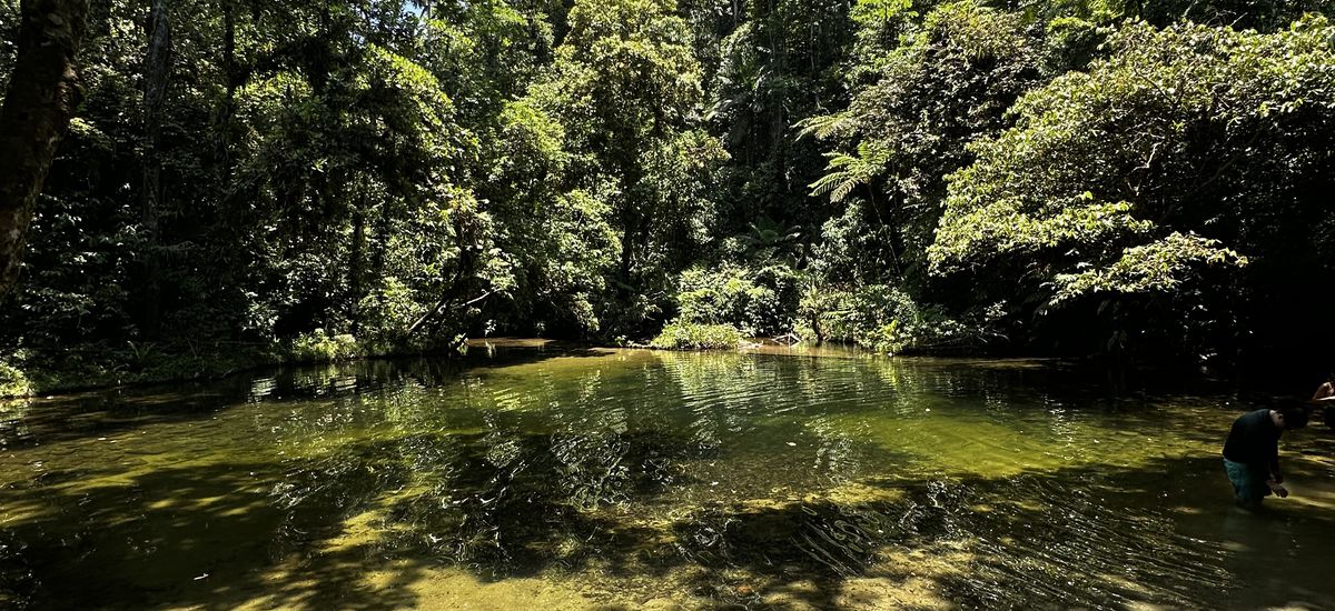 NATUREZA VIVA