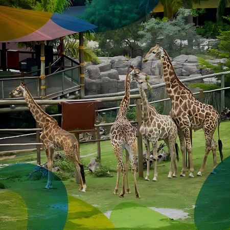 Saída Pedagógica – Animália Park