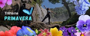 Primavera