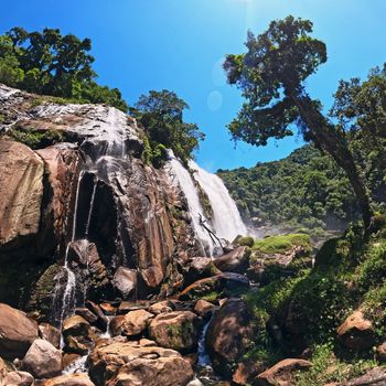 Cachoeira do Elefante: Aventura na Serra do Mar de Bertioga