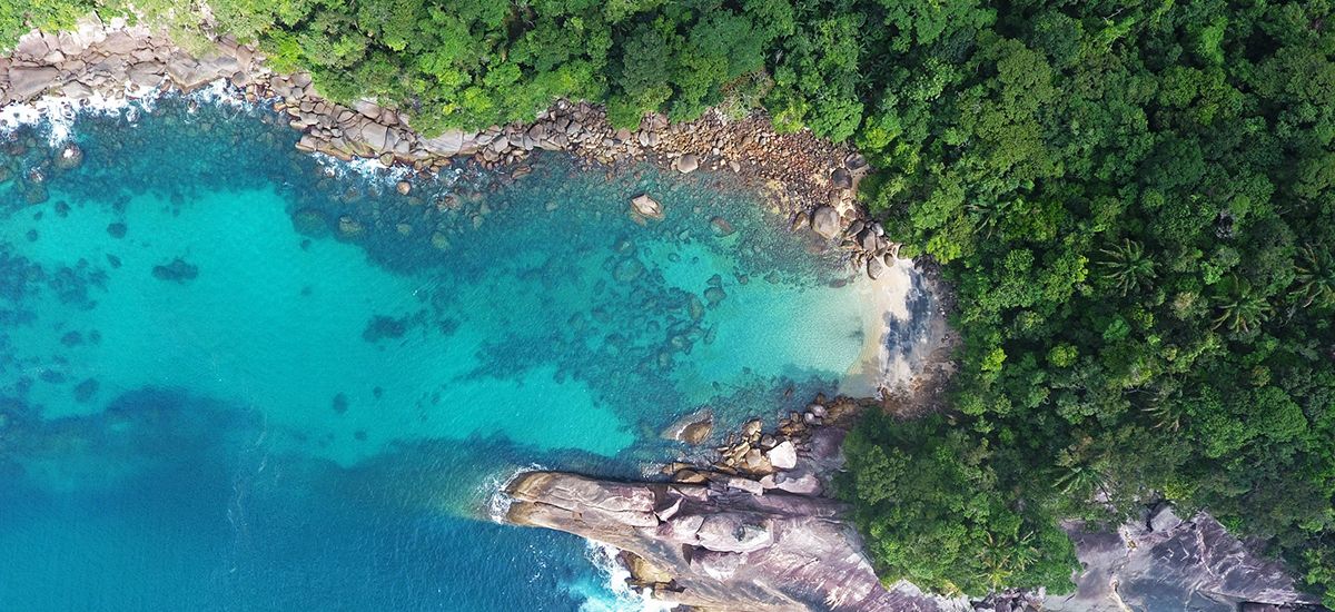 Um Paraíso Chamado: Ilha Grande