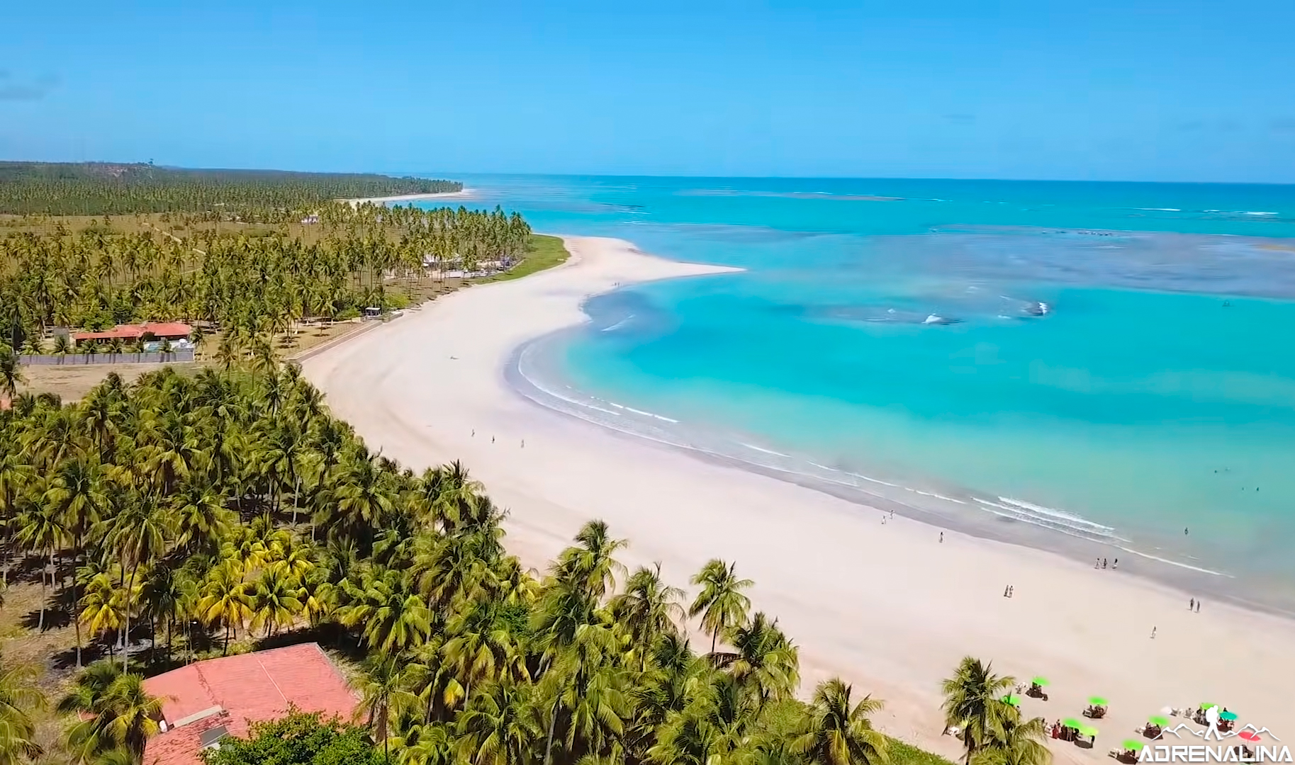 Alagoas e Pernambuco