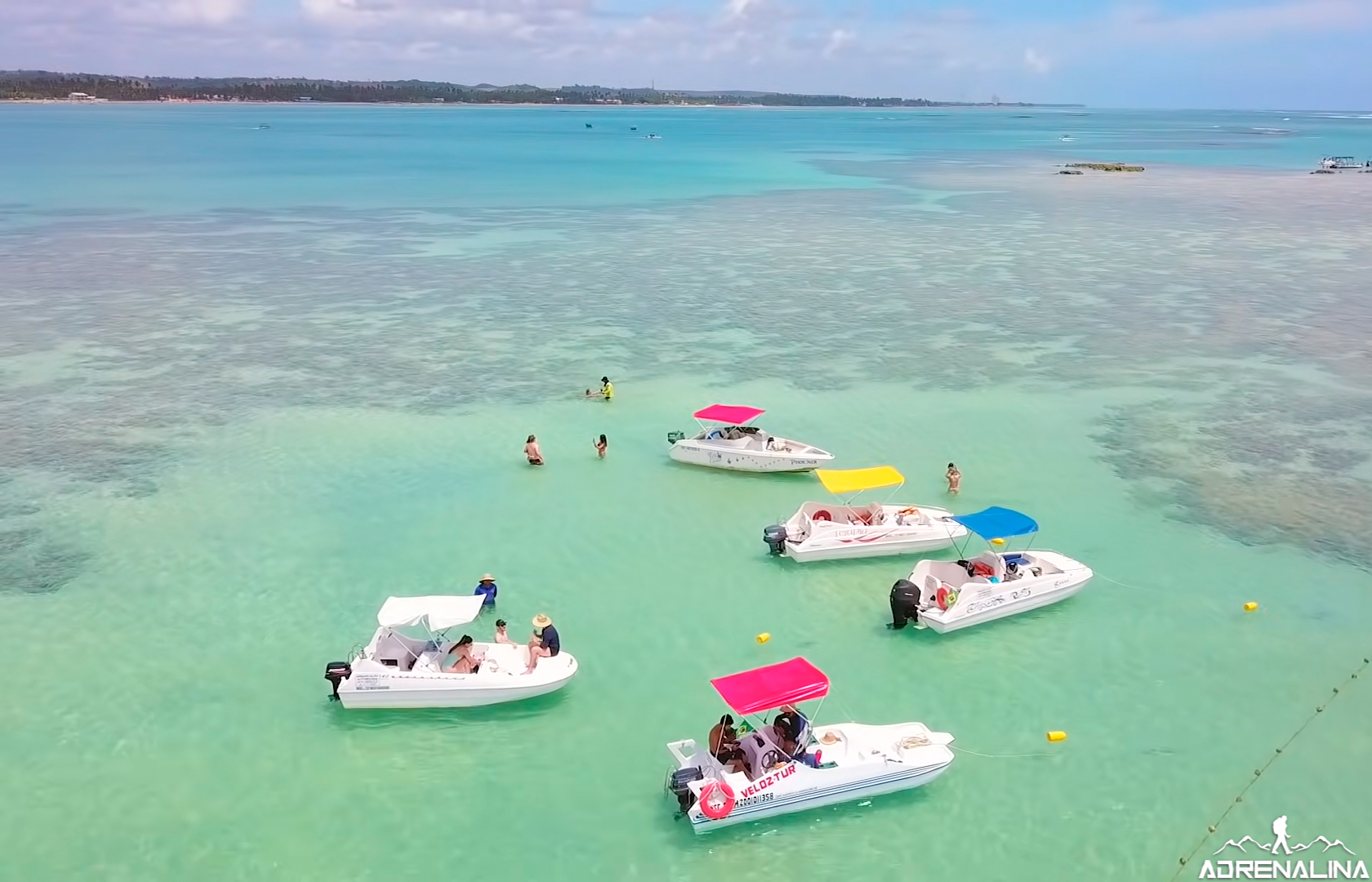 Alagoas e Pernambuco