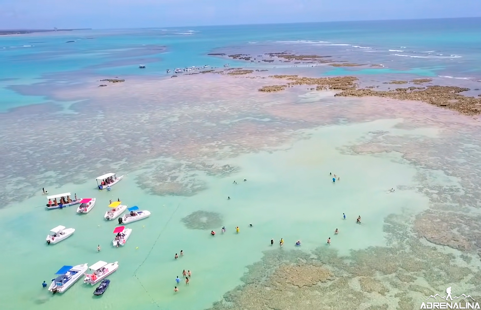 Alagoas e Pernambuco