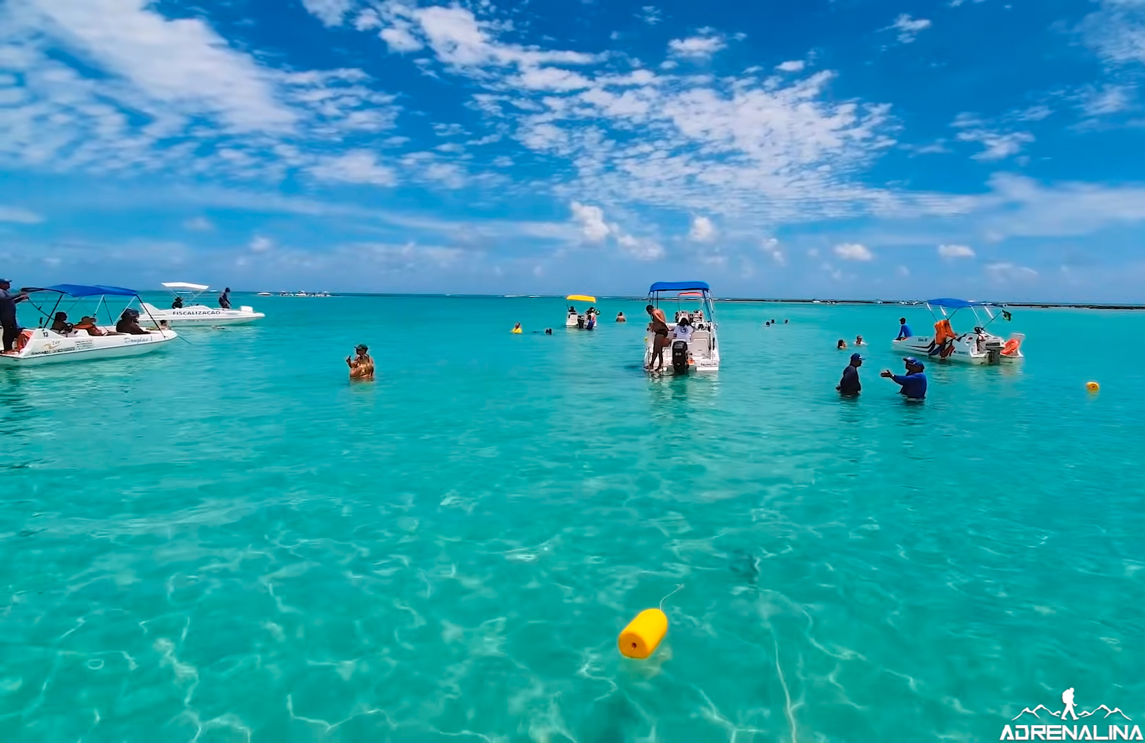 Alagoas e Pernambuco