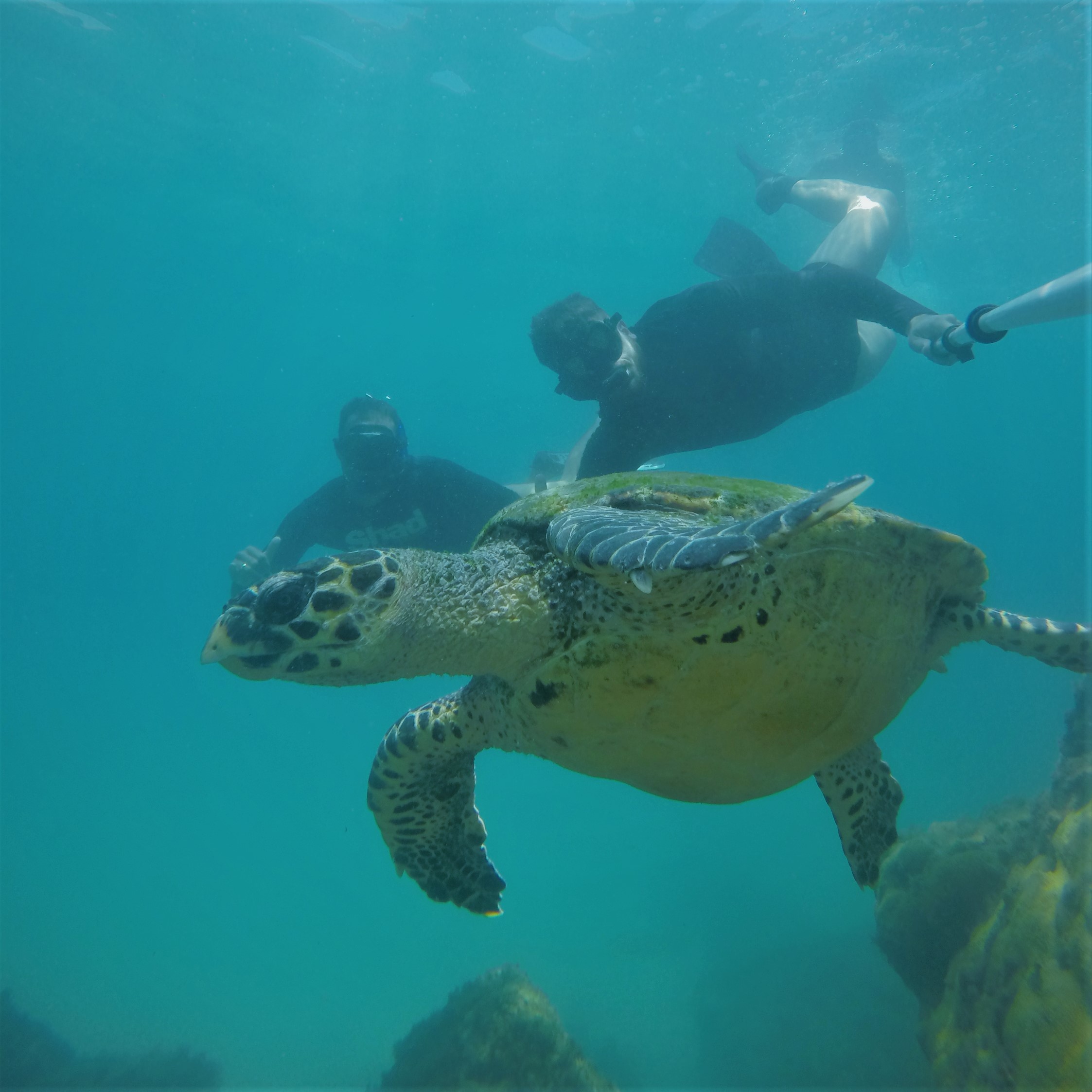 Tour Arraial do Cabo