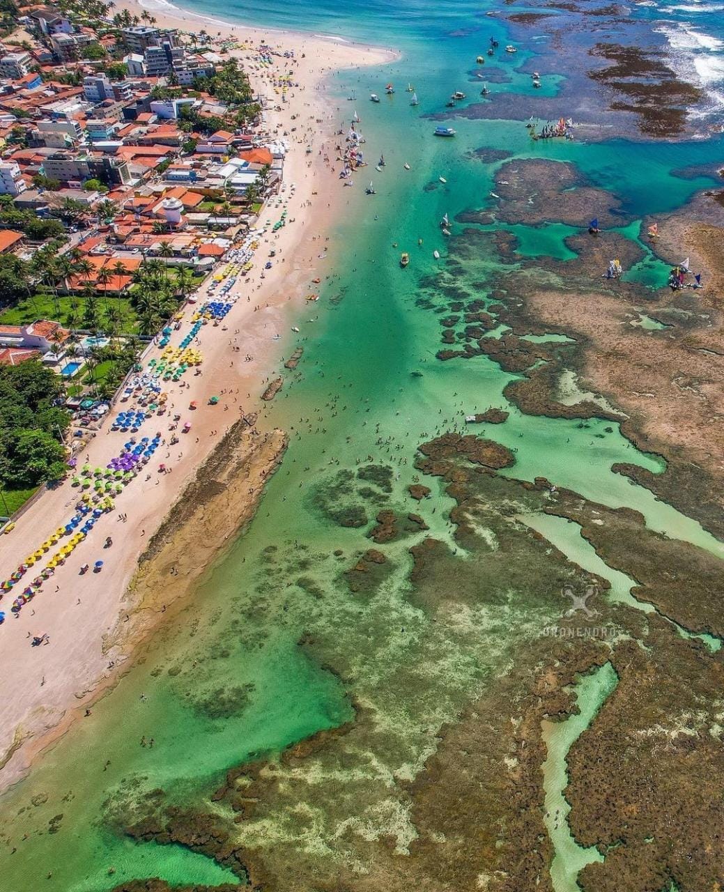 Alagoas e Pernambuco