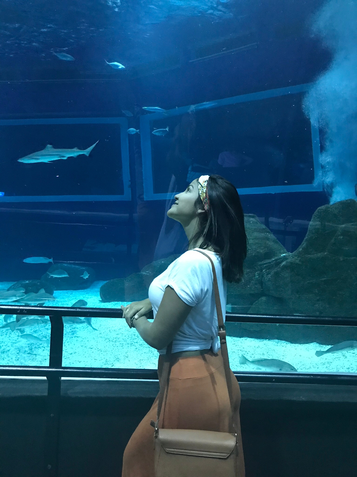 AquaRio + Porto Maravilha